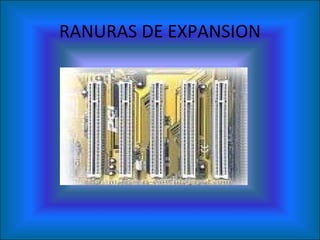 RANURAS DE EXPANSION 