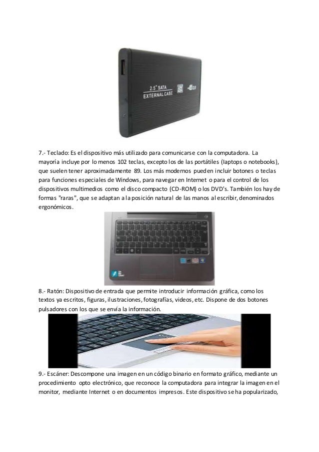 Partes internas y externas de la