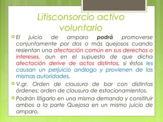 Litisconsorcio activo
voluntario
 El juicio de amparo podrá promoverse
conjuntamente por dos o más quejosos cuando
resientan una afectación común en sus derechos o
intereses, aun en el supuesto de que dicha
afectación derive de actos distintos, si éstos les
causan un perjuicio análogo y provienen de las
mismas autoridades.
 V.gr. Orden de clausura de bar con distintas
órdenes; orden de clausura de estacionamientos.
 Podrán litigarlo en una misma demanda y constituir
ambos a la parte Quejosa en un mismo juicio de
amparo.
 