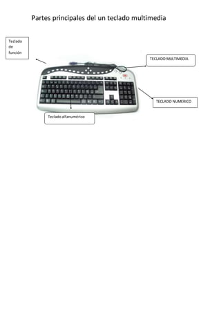 Partes principales del un teclado multimedia
TECLADO MULTIMEDIA
TECLADO NUMERICO
Teclado
de
función
Tecladoalfanumérico
 