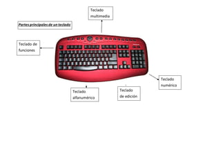 Partes principales de un teclado
Teclado
de edición
Teclado
alfanumérico
Teclado
numérico
Teclado de
funciones
Teclado
multimedia
 