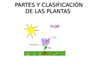 PARTES Y CLASIFICACIÓN DE LAS PLANTAS  
