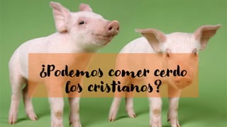 ¿Podemos comer cerdo
los cristianos?
 