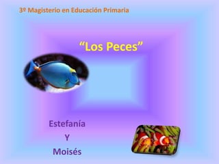 “Los Peces”
Estefanía
Y
Moisés
3º Magisterio en Educación Primaria
 