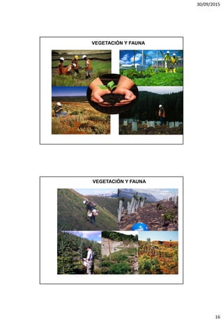 30/09/2015
16
VEGETACIÓN Y FAUNA
VEGETACIÓN Y FAUNA
 