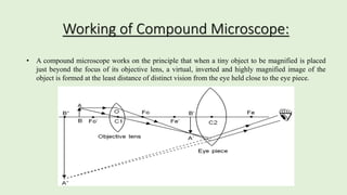 Compound Microscope and Its Forensic Applications 