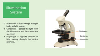 Compound Microscope and Its Forensic Applications 