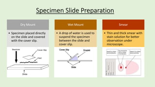 Compound Microscope and Its Forensic Applications 