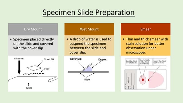 Compound Microscope and Its Forensic Applications | PPTX