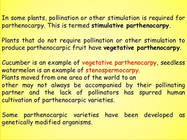 parthenocarpy parthenocarpic cucumber