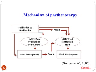 Mechanism of parthenocarpy
10
(Gorguet et al., 2005)
Pollination &
fertilization
Seed development Fruit development
Active GA
synthesis in
ovules/seeds
Active GA
synthesis in
fruit
Auxin
Auxin
Contd...
 