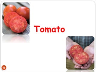 Tomato
16
 