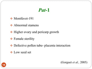 Pat-1
18
 Montfavet-191
 Abnormal stamens
 Higher ovary and pericarp growth
 Female sterility
 Defective pollen tube- placenta interaction
 Low seed set
(Gorguet et al., 2005)
 