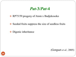 Pat-3/Pat-4
20
 RP75/59 progeny of Atom x Budjekosoko
 Seeded fruits suppress the size of seedless fruits
 Digenic inheritance
(Gorguet et al., 2005)
 