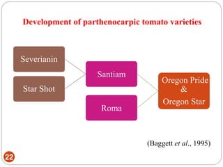 22
Oregon Pride
&
Oregon Star
Santiam
Severianin
Star Shot
Roma
(Baggett et al., 1995)
Development of parthenocarpic tomato varieties
 
