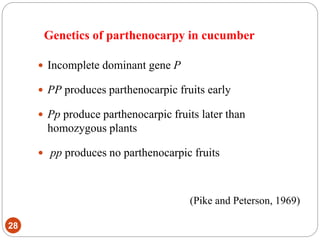 Genetics of parthenocarpy in cucumber
28
 Incomplete dominant gene P
 PP produces parthenocarpic fruits early
 Pp produce parthenocarpic fruits later than
homozygous plants
 pp produces no parthenocarpic fruits
(Pike and Peterson, 1969)
 