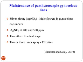 Maintenance of parthenocarpic gynoecious
lines
37
 Silver nitrate (AgNO3) - Male flowers in gynoecious
cucumbers
 AgNO3 at 400 and 500 ppm
 Two –three true leaf stage
 Two or three times spray - Effective
(Elizabeta and Susaj, 2010)
 