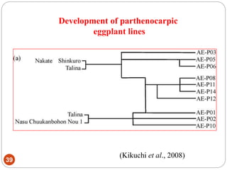 Development of parthenocarpic
eggplant lines
39
(Kikuchi et al., 2008)
 