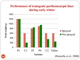 Performance of transgenic parthenocarpic lines
during early winter
44
0
200
400
600
800
1000
1200
1400
P1 C1 P3 P4 C2 Talina
Sprayed
Not sprayed
(Donzella et al., 2000)
Varieties
Fruitweight(g)
 