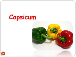 Capsicum
45
 