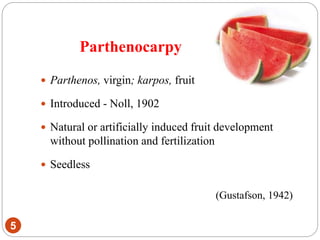 Parthenocarpy
5
 Parthenos, virgin; karpos, fruit
 Introduced - Noll, 1902
 Natural or artificially induced fruit development
without pollination and fertilization
 Seedless
(Gustafson, 1942)
 