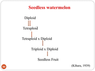 Seedless watermelon
50
Diploid
Tetraploid
Tetraploid x Diploid
Triploid x Diploid
Seedless Fruit
(Kihara, 1939)
 
