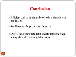 Conclusion
57
Efficient tool to obtain stable yields under adverse
conditions
Seedlessness for processing industry
DefH9-iaaM gene might be used to improve yield
and quality of other vegetable crops
 