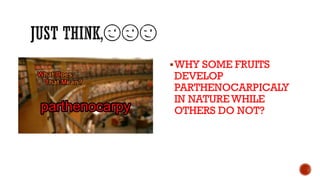 ▪WHY SOME FRUITS
DEVELOP
PARTHENOCARPICALY
IN NATUREWHILE
OTHERS DO NOT?
 