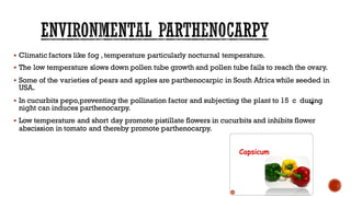 ▪ Climatic factors like fog , temperature particularly nocturnal temperature.
▪ The low temperature slows down pollen tube growth and pollen tube fails to reach the ovary.
▪ Some of the varieties of pears and apples are parthenocarpic in South Africa while seeded in
USA.
▪ In cucurbits pepo,preventing the pollination factor and subjecting the plant to 15 c during
night can induces parthenocarpy.
▪ Low temperature and short day promote pistillate flowers in cucurbits and inhibits flower
abscission in tomato and thereby promote parthenocarpy.
 