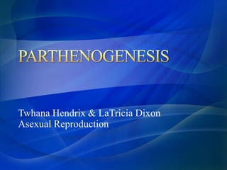 Twhana Hendrix & LaTricia Dixon 
Asexual Reproduction 
 