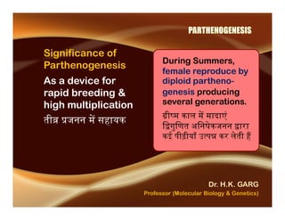 Parthenogenesis - Dr HK Garg | PDF