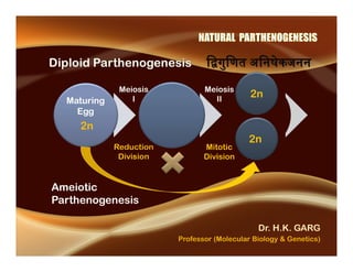 Parthenogenesis - Dr HK Garg | PPT