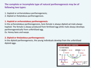 Parthenogenesis Diagram
