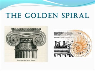 The golden spiral
 