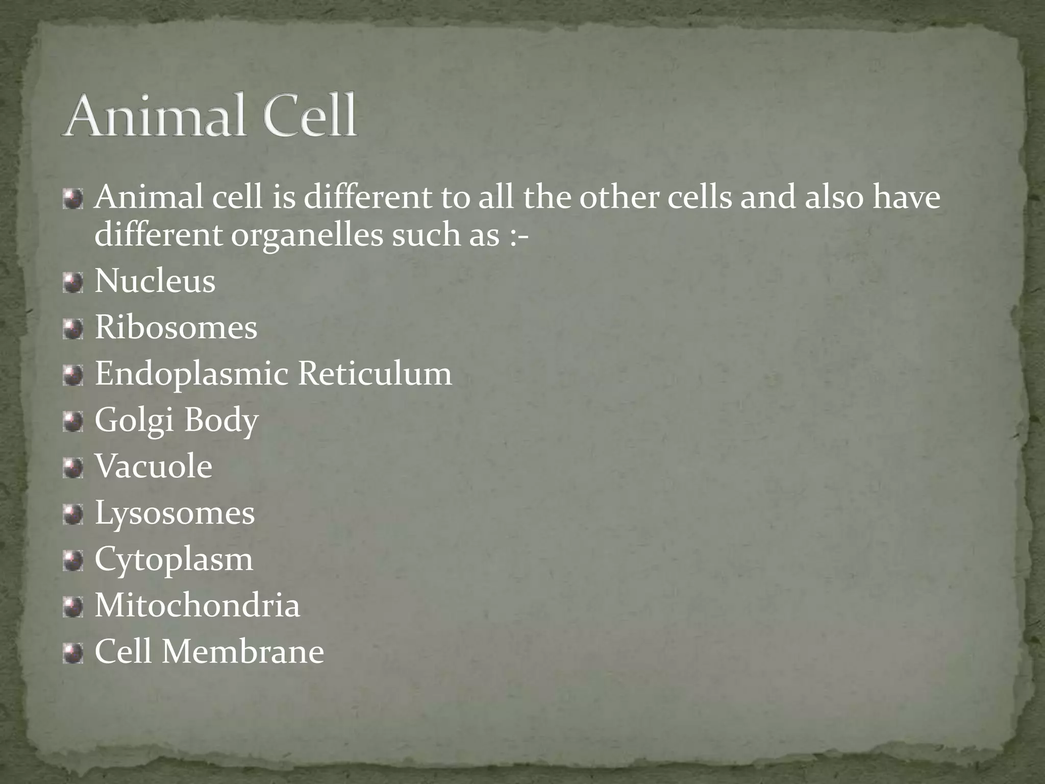 Animal cell is different to all the other cells and also have
different organelles such as :Nucleus
Ribosomes
Endoplasmic Reticulum
Golgi Body
Vacuole
Lysosomes
Cytoplasm
Mitochondria
Cell Membrane

 