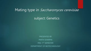 Mating type in Saccharomyces cerevisiae
subject: Genetics
PRESENTED BY
PARTH SHARMA
MSC 1ST SEMESTER
DEPARTMENT OF BIOTECHNOLOGY
 