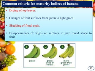 Physiological maturity indices in tropical fruit crops | PPTX