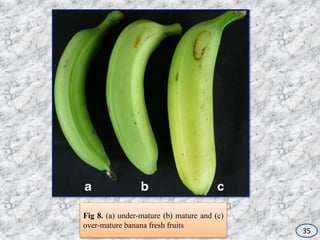 Physiological maturity indices in tropical fruit crops | PPTX