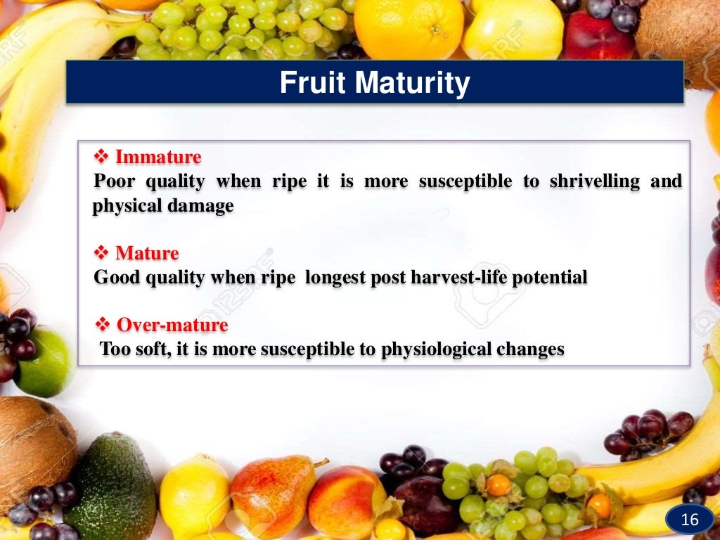 Physiological maturity indices in tropical fruit crops