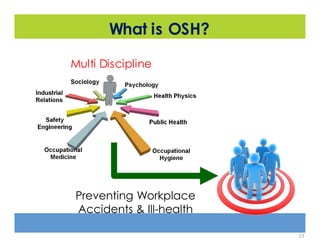 Osh Roles Part i introduction to osh sss duties & tasks (day 1) | PDF