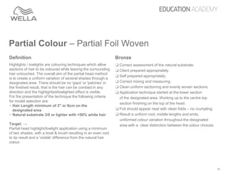 Partial color Portfolio | PPTX