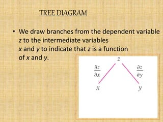 TREE DIAGRAM 
• We draw branches from the dependent variable 
z to the intermediate variables 
x and y to indicate that z is a function 
of x and y. 
 