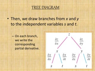 TREE DIAGRAM 
• Then, we draw branches from x and y 
to the independent variables s and t. 
– On each branch, 
we write the 
corresponding 
partial derivative. 
 