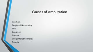 Causes of Amputation
Infection
Peripheral Neuropathy
PVD
Gangrene
Trauma
Congenital abnormality
Frosbite
 