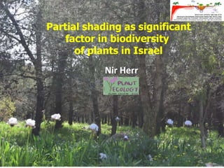 Partial shading as significant
factor in biodiversity
of plants in Israel
Nir Herr
 