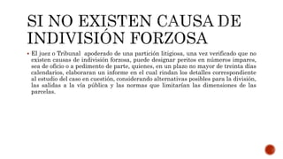  El juez o Tribunal apoderado de una partición litigiosa, una vez verificado que no
existen causas de indivisión forzosa, puede designar peritos en números impares,
sea de oficio o a pedimento de parte, quienes, en un plazo no mayor de treinta días
calendarios, elaboraran un informe en el cual rindan los detalles correspondiente
al estudio del caso en cuestión, considerando alternativas posibles para la división,
las salidas a la vía pública y las normas que limitarían las dimensiones de las
parcelas.
 