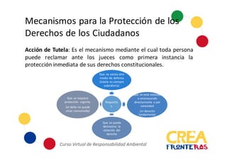 Mecanismos	
  para	
  la	
  Protección	
  de	
  los	
  
Derechos	
  de	
  los	
  Ciudadanos
Acción de Tutela: Es el mecanismo mediante el cual toda persona
puede reclamar ante los jueces como primera instancia la
protección inmediata de sus derechos constitucionales.
Requisito
s.
Que	
  no	
  exista	
  otro	
  
medio	
  de	
  defensa	
  
(tutela	
  es	
  siempre	
  
subsidiaria)
Que	
  se	
  esté	
  violando	
  
o	
  amenazando	
  
directamente	
   o	
  por	
  
conexidad	
  
Un	
  derecho	
  
fundamental
Que	
  se	
  pueda	
  
demostrar	
   la	
  
violación	
   del	
  
derecho	
  
Que	
  se	
  requiera	
  
protección	
   urgente.
(el	
  daño	
  no	
  puede	
  
estar	
  consumado)
 