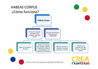HABEAS	
  CORPUS
¿Cómo	
  funciona?
Habeas	
  Corpus
El	
  recurso	
   se	
  puede	
  
presentar	
   ante	
  
cualquier	
   autoridad	
  
judicial
Derechos	
   garantizados	
  
(artículo	
  3	
  Ley	
  -­‐
1095/2006)
Debe	
   ser	
  resuelto	
  en	
  
36	
  horas
Puede	
   ser	
  invocado	
  
por	
  cualquier	
   persona,	
   	
  
el	
  Ministerio	
   Público,	
  
la	
  Procuraduría	
   y	
  la	
  
Defensoría	
   del	
  Pueblo
Mientras	
  persista	
  la	
  
violación,	
   se	
  puede	
  
interponer	
   el	
  recurso
Trámite	
  no	
  se	
  
suspende	
   por	
   días	
  
festivos	
  o	
  mandato	
  
judicial
 