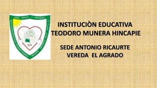 INSTITUCIÒN EDUCATIVA
TEODORO MUNERA HINCAPIE
SEDE ANTONIO RICAURTE
VEREDA EL AGRADO
 