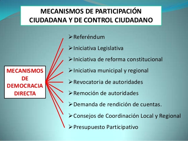 Participacion Ciudadana